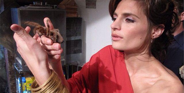 V seriálu Castle na zabití si zahrála vyšetřovatelku Kate Beckett